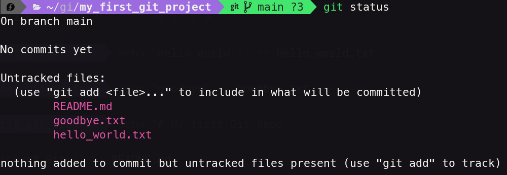 Showing Git Status: Untracked Files